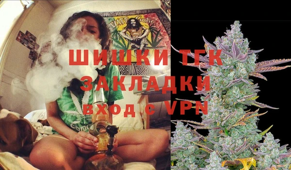 хмурый Гусев