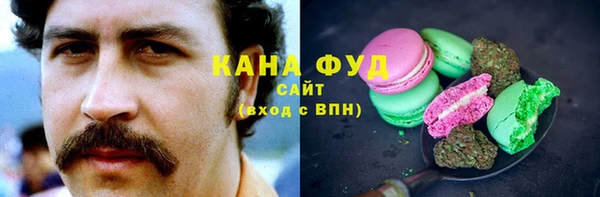 хмурый Гусев