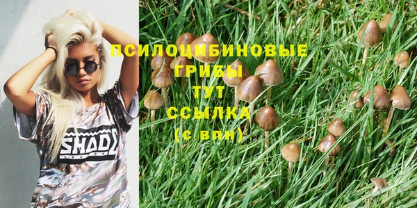 гидропоника Гусиноозёрск