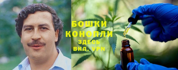 гидропоника Гусиноозёрск