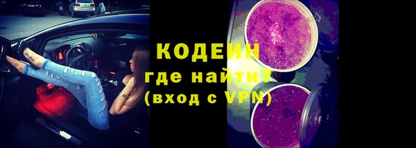 хмурый Гусев
