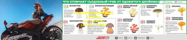 СК Гусь-Хрустальный