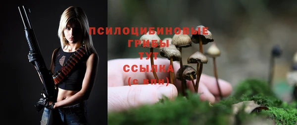 гидропоника Гусиноозёрск