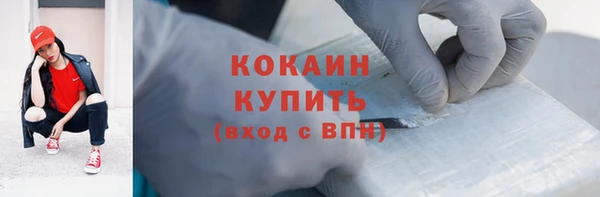 гидропоника Гусиноозёрск