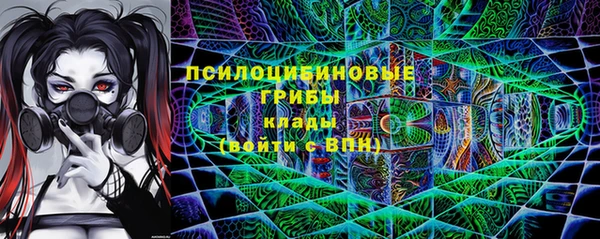гидропоника Гусиноозёрск