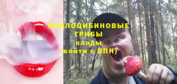 гидропоника Гусиноозёрск