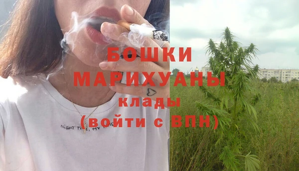 хмурый Гусев