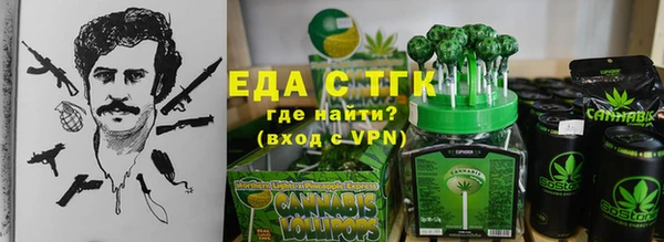 хмурый Гусев