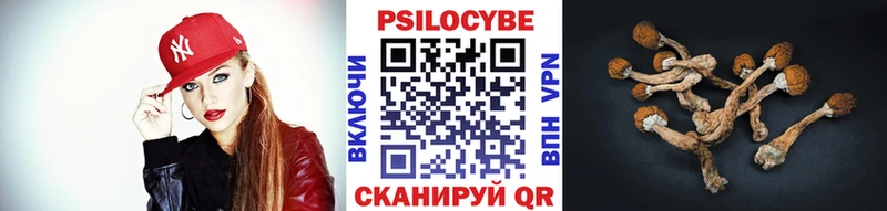 mega как зайти  купить наркотики цена  Сургут  Галлюциногенные грибы ЛСД 